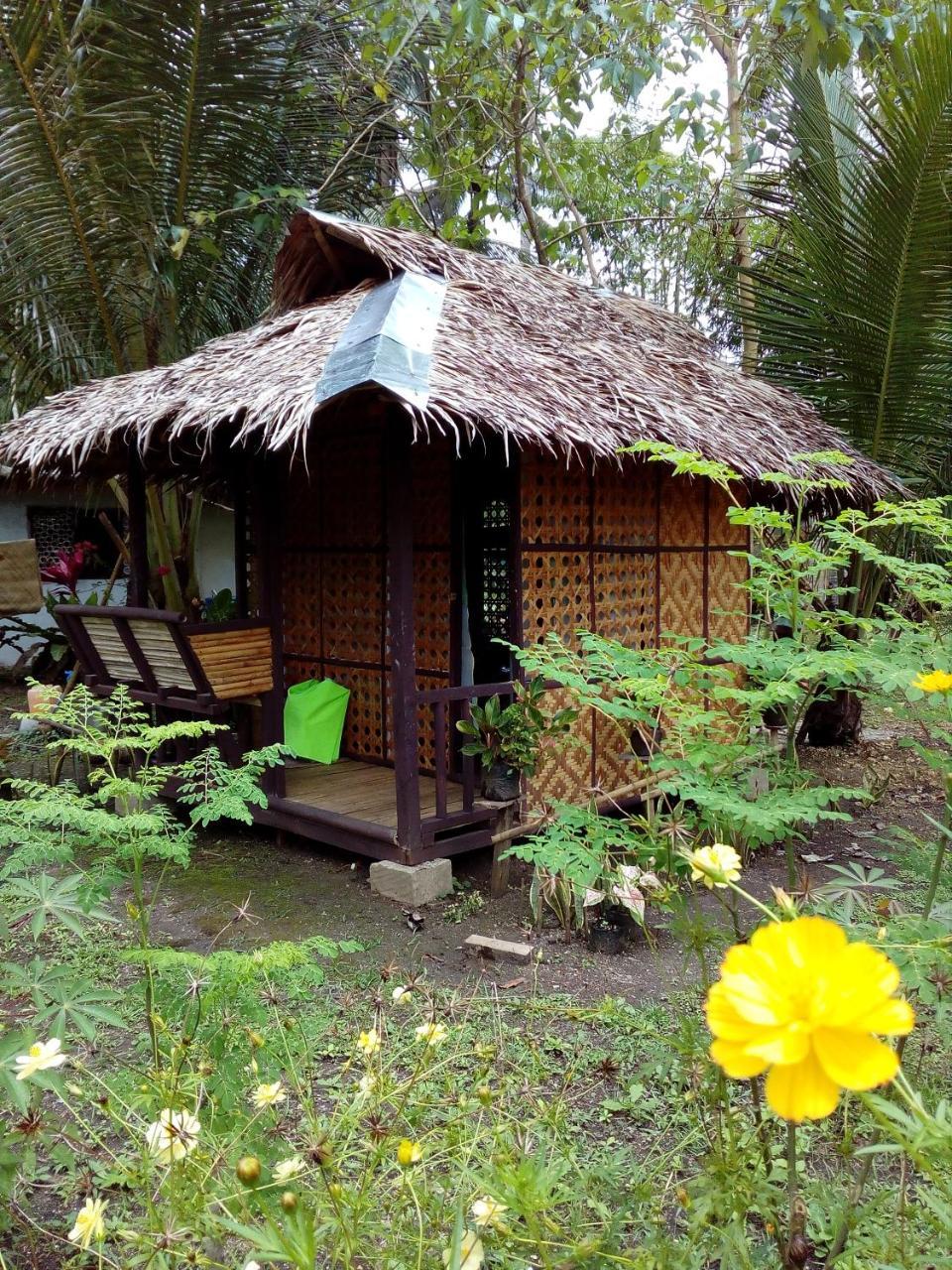 Batuan Hammock Hostel المظهر الخارجي الصورة