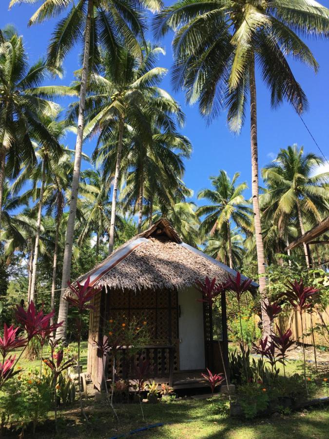 Batuan Hammock Hostel المظهر الخارجي الصورة